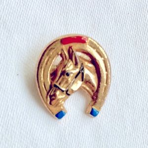 Horseshoe Vintage Mini Brooch